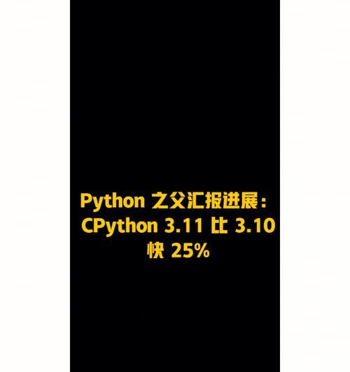 如何高效学习Python编程（面向新手的学习指南）