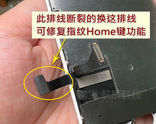 使用8P快捷键轻松截图（简便高效的截图技巧，轻松应对各种截图需求）