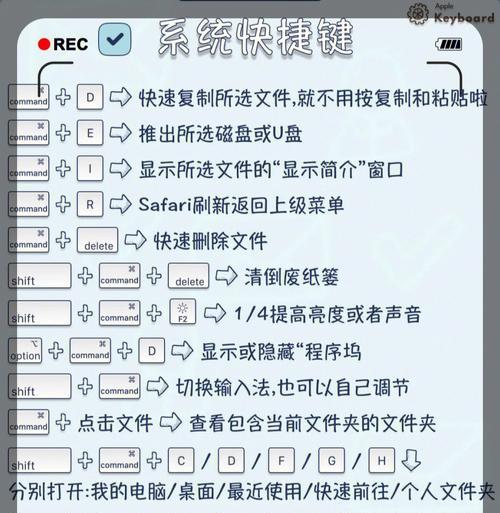 提高工作效率，快速切换桌面的神奇快捷键（极大提升操作流畅度，Windows电脑桌面快捷键全解析）