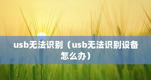 USB接口无法识别的解决方法（如何解决电脑无法识别USB设备的问题）