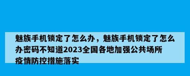 如何破解忘记的魅族手机解锁密码（解锁魅族手机密码的技巧和步骤）