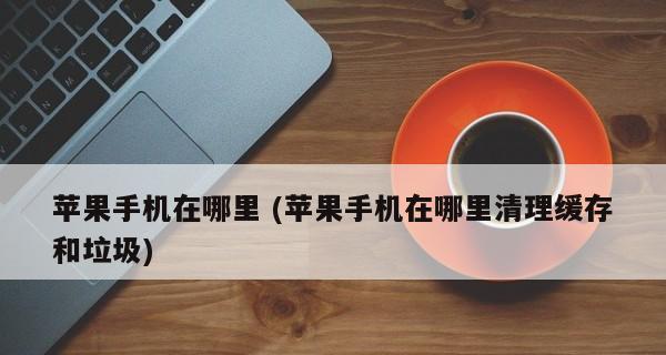 如何有效清理iPhone垃圾文件？（提高iPhone性能，释放存储空间的有效方法）