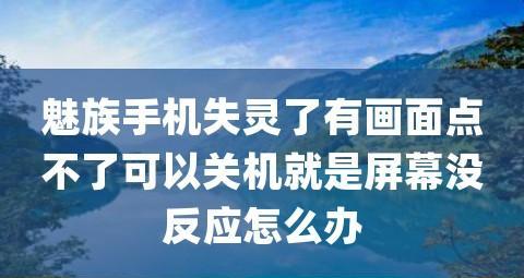 如何解决长时间使用魅族手机导致卡顿的问题（提高魅族手机使用流畅度的技巧和方法）