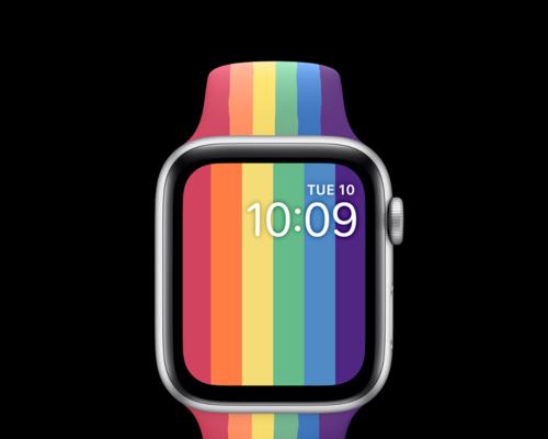 如何在AppleWatch上设置Pride表盘（个性化设置AppleWatch表盘，展示自豪和支持）