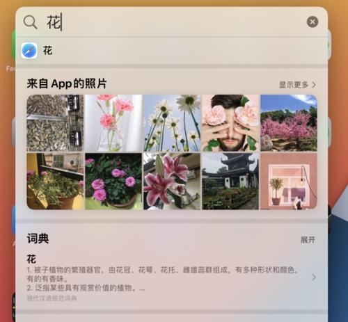 如何使用查找我的iPhone功能迅速找回遗失的手机（利用苹果的防盗功能，保护你的手机安全）