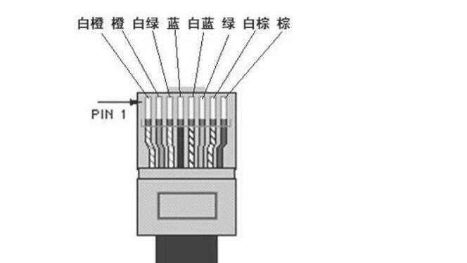 使用4芯网线接水晶头的正确方法（简明易懂的网络布线指南，快速解决接头问题）