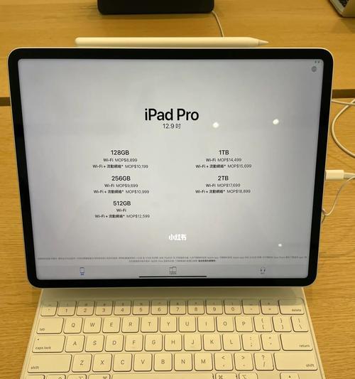 2022最全iPad选购攻略（为您揭秘如何选择最适合您的iPad）