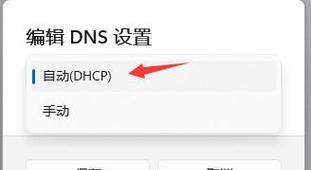 dns错误怎么办无法上网怎么修复（快速修复DNS错误）