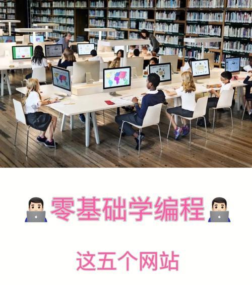 新人学编程基础教程（通过实践学习）