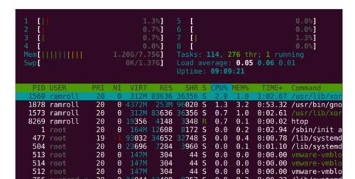 Linux常用命令面试攻略（掌握这20个命令）