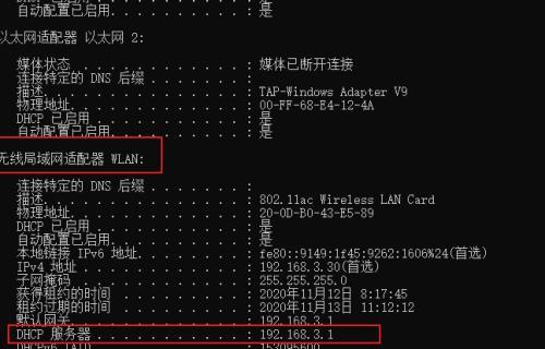 揭秘国内最快速的DNS，提升上网速度（科技进步驱动网络畅行）