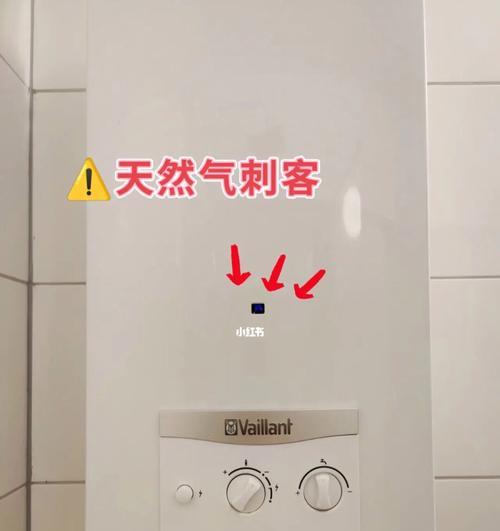 老款热水器清洗指南（保养你的老款热水器）