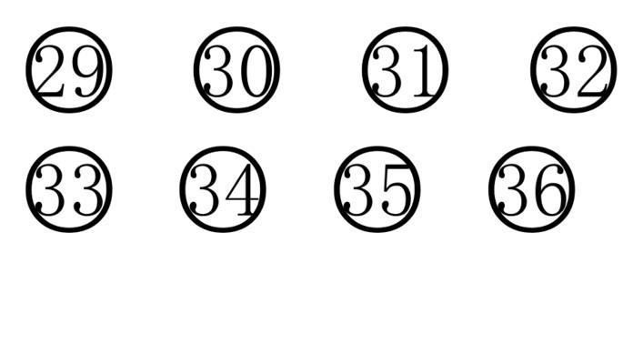 《玩转100以内带圈的序号》（探索数字世界的奇妙旅程）