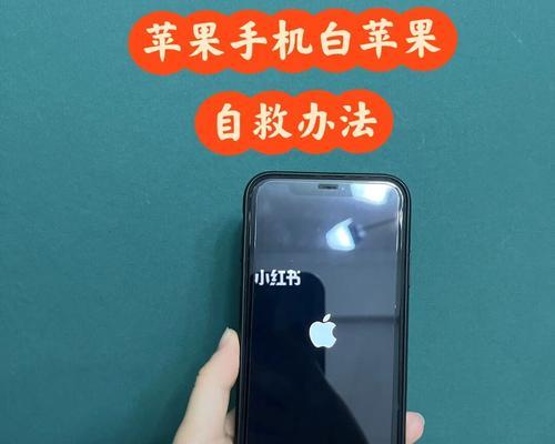 探究iPhone白苹果无限重启的原因（解析导致iPhone出现白苹果重启循环的问题及解决方法）