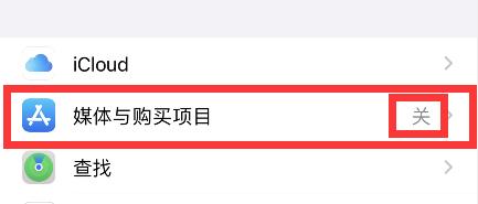 解决苹果手机无法下载App的问题（探寻AppleStore下载问题的原因及解决方法）