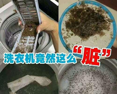 告别油烟机满是油渍，拥抱清新厨房（解决油烟机油渍问题的秘诀）