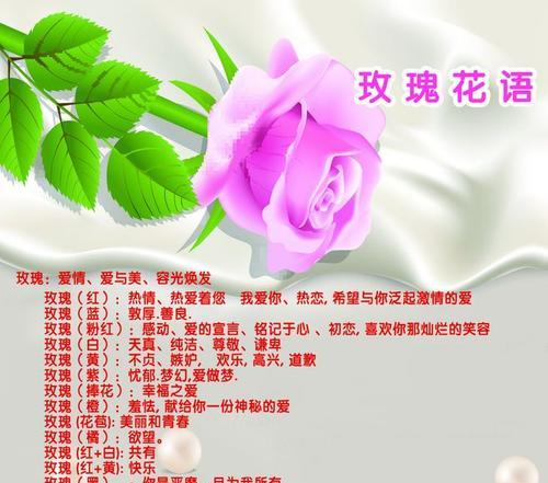 100朵玫瑰代表什么意思？100朵玫瑰的花语有哪些含义？