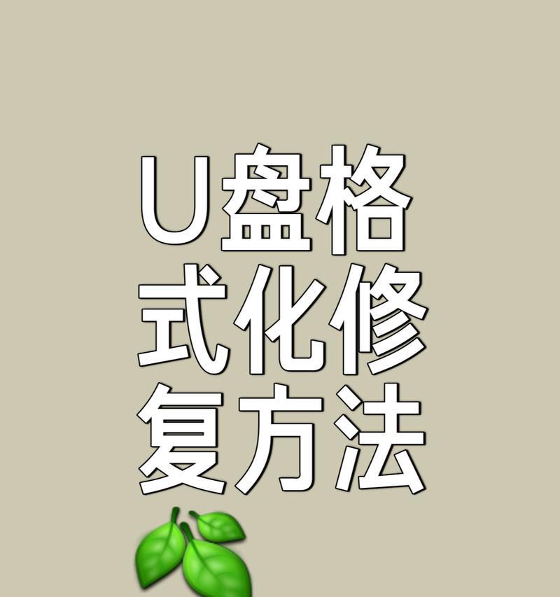 U盘需要格式化才能打开怎么办？实用解决方法一览是什么？