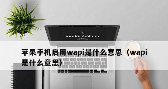 WAPI在苹果手机中有什么功能？苹果手机中的WAPI是什么？