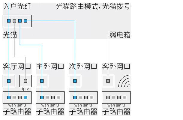 路由器设置向导的正确使用方法是什么？上网方式应如何选择？