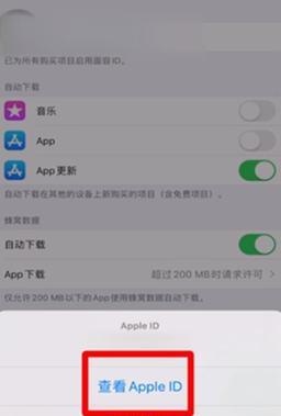 Apple图片处理软件有哪些功能？常见问题如何解决？