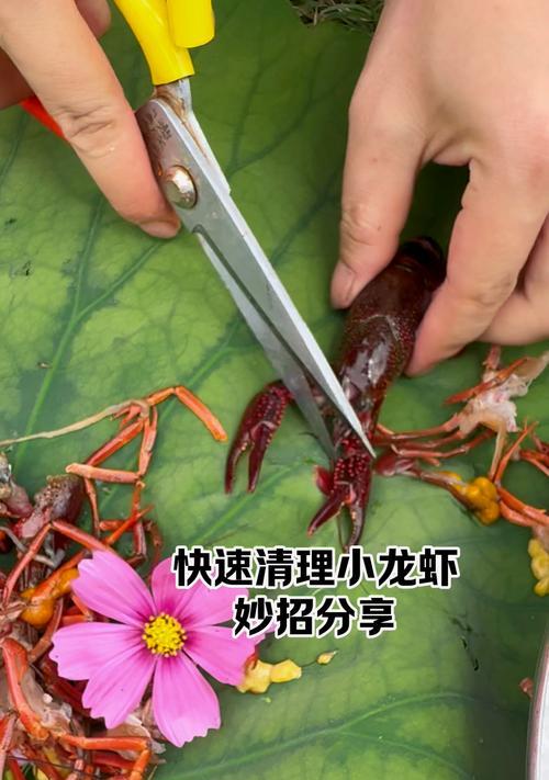 最快清理的方法是什么？如何高效去除家中污渍？